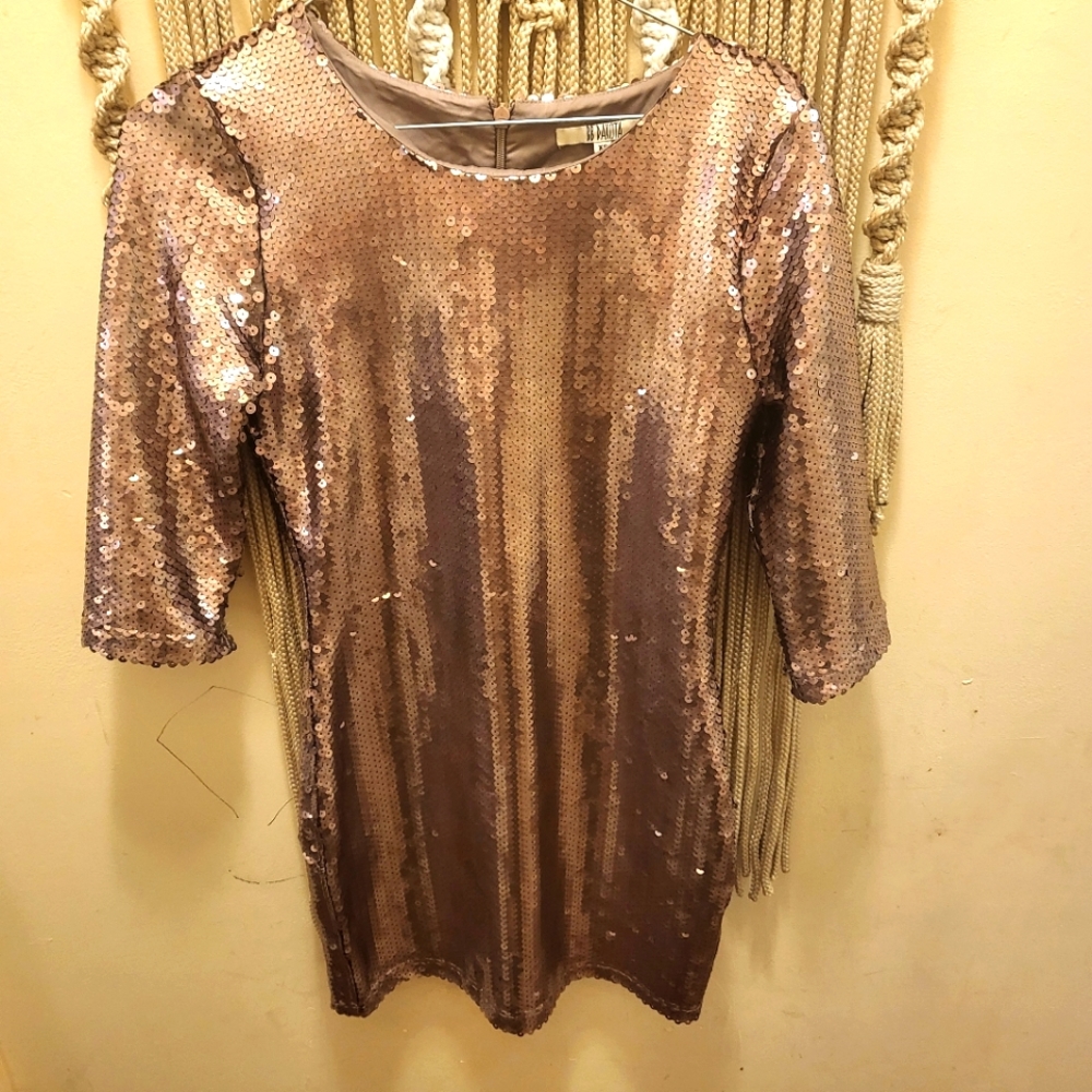 Shimmer and Shiny Sequin Dress